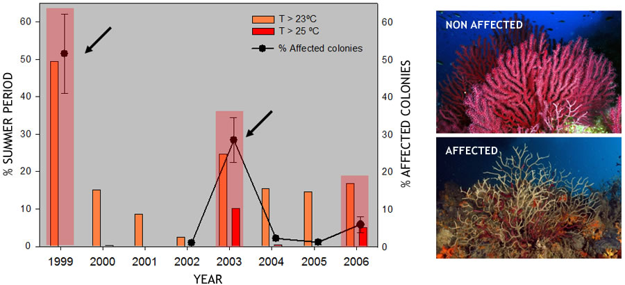 Results, Mortality events